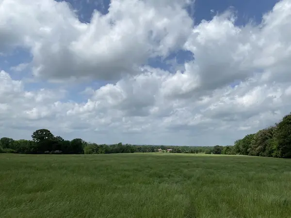 3402 I-20 N, Van, TX 75760