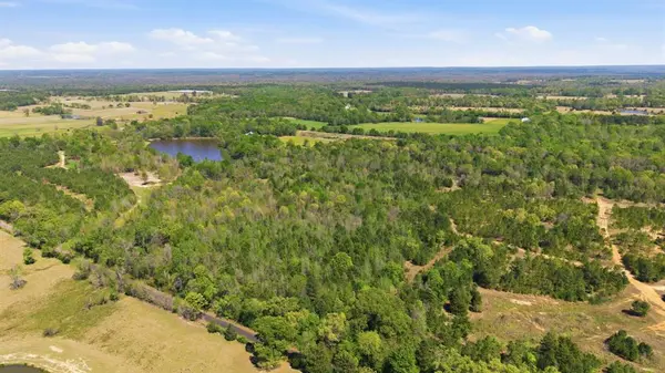 TBD CR 2382, Alba, TX 75410