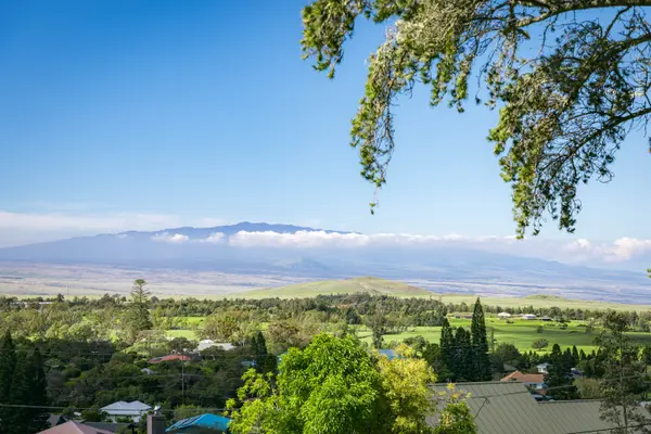 65-1228 PUUKI PL, Kamuela, HI 96743