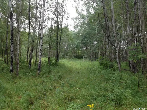 Rural Address, Hudson Bay, SK S0E 0Y0