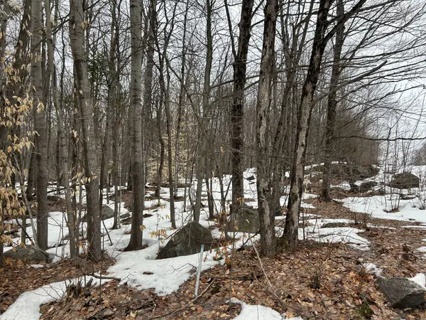 0 Tally Ho Winter Park RD, Lake Of Bays, ON P1H 2J3