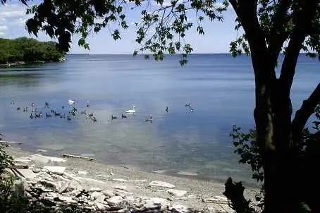 2663 Lake Shore BLVD W #606, Toronto W06, ON M8V 1G7