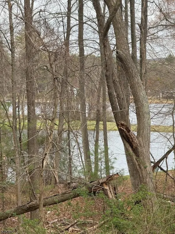 232 Lake Shore, Montague Twp., NJ 07827