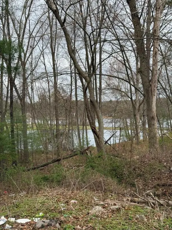 232 Lake Shore, Montague Twp., NJ 07827