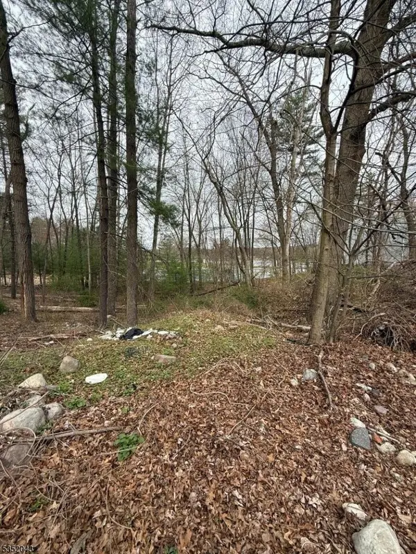 232 Lake Shore, Montague Twp., NJ 07827