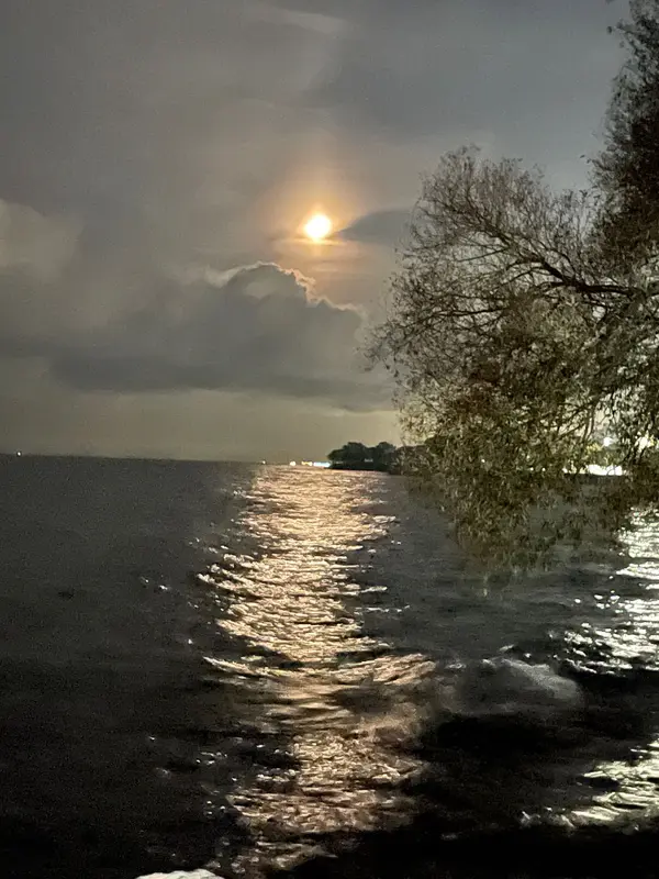 2663 Lake Shore BLVD W #606, Toronto W06, ON M8V 1G7