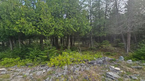 LT 254 Dorcas Bay RD, Northern Bruce Peninsula, ON N0H 2R0