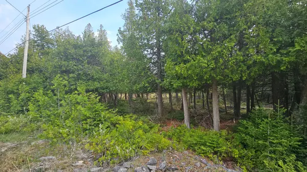 LT 254 Dorcas Bay RD, Northern Bruce Peninsula, ON N0H 2R0