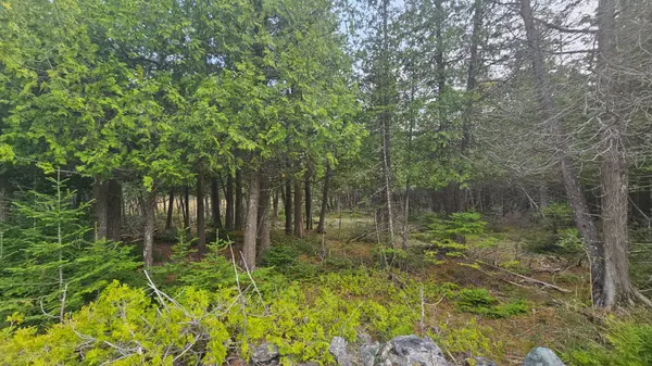 LT 254 Dorcas Bay RD, Northern Bruce Peninsula, ON N0H 2R0