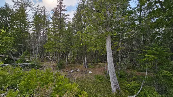 LT 254 Dorcas Bay RD, Northern Bruce Peninsula, ON N0H 2R0