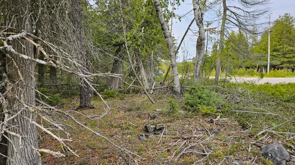 LT 255 Pedwell Pt. DR, Northern Bruce Peninsula, ON N0H 2R0