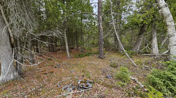 LT 255 Pedwell Pt. DR, Northern Bruce Peninsula, ON N0H 2R0