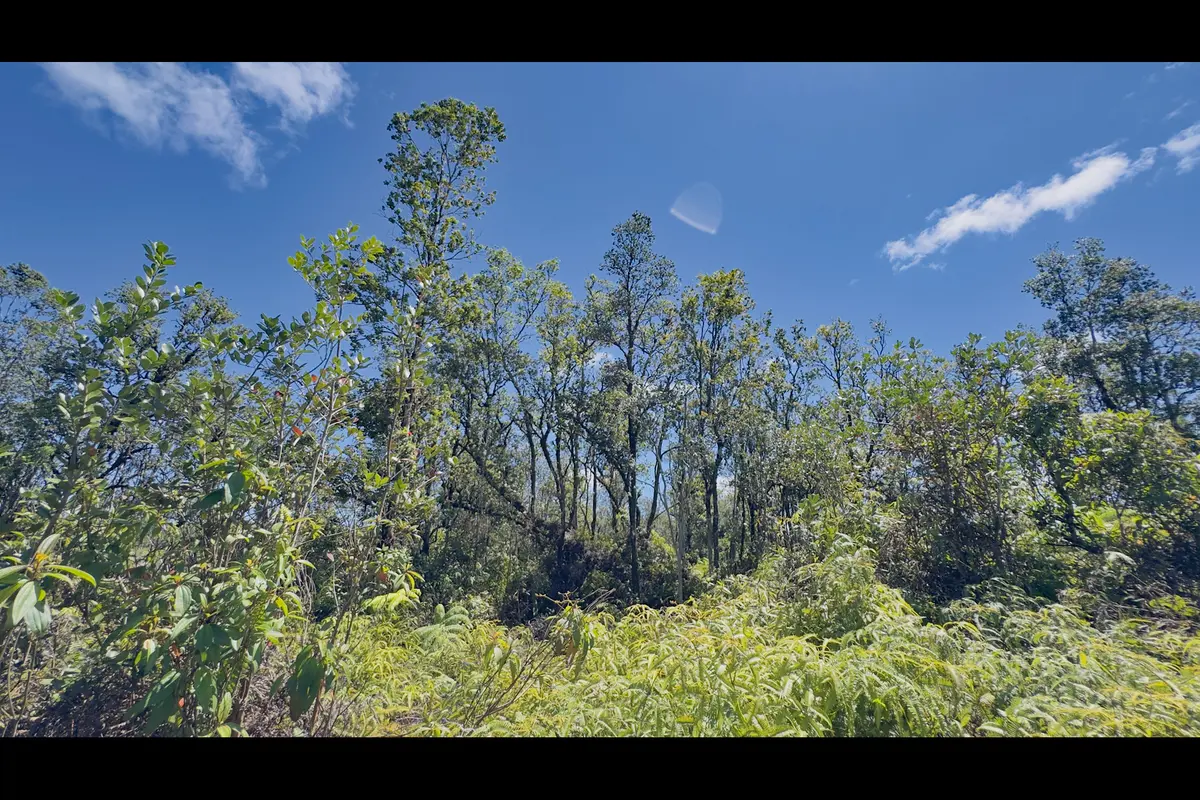 PIKAKE ST, Mountain View, HI 96771