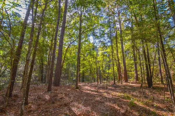 0 COUNTY ROAD 3409, Chandler, TX 75758