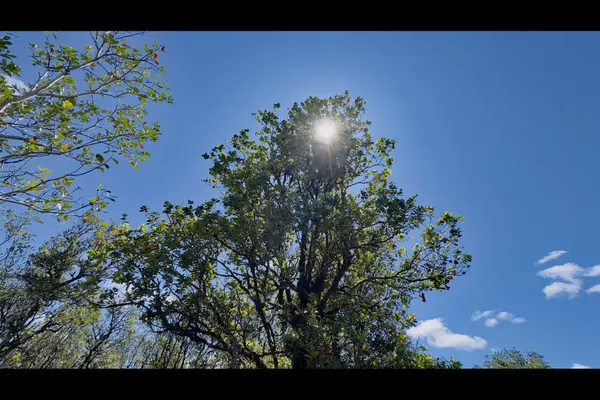 PIKAKE ST, Mountain View, HI 96771