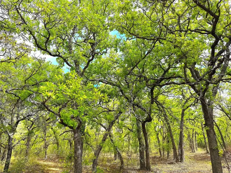 TBD Turpin Lake Road, Poolville, TX 76487