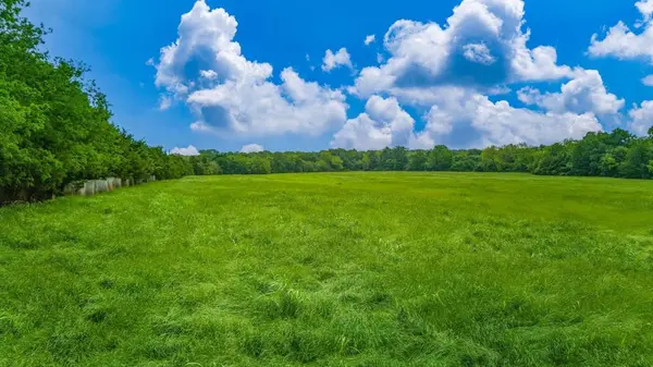 TBD FM 2194, Celeste, TX 75423