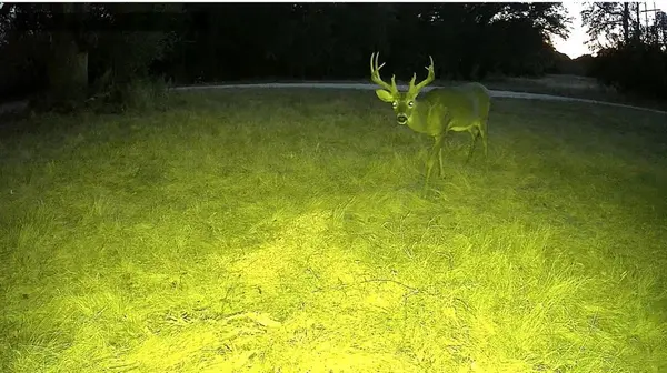 2393 FM 708, Clifton, TX 76689