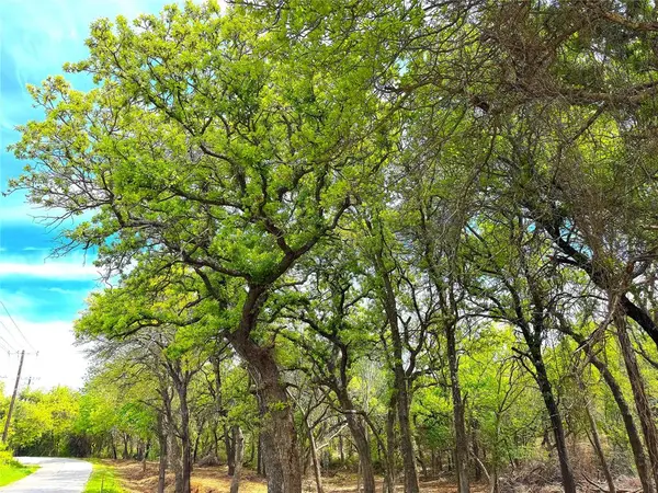 17101 Fm-920, Poolville, TX 76487