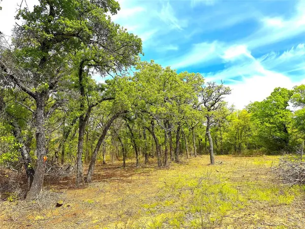 TBD Turpin Lake Road, Poolville, TX 76487