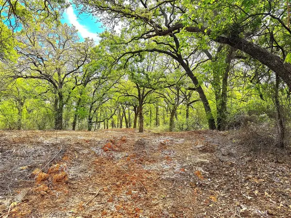 TBD Turpin Lake Road, Poolville, TX 76487