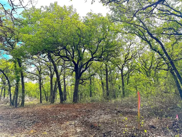 TBD Turpin Lake Road, Poolville, TX 76487