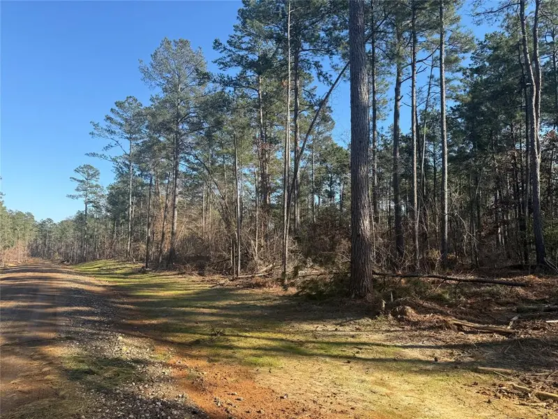 Lot 6 King Estate Lane, Ruston, LA 71270