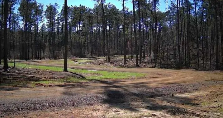 Lot 10 King Estate Lane, Ruston, LA 71270