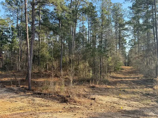 Lot 6 King Estate Lane, Ruston, LA 71270