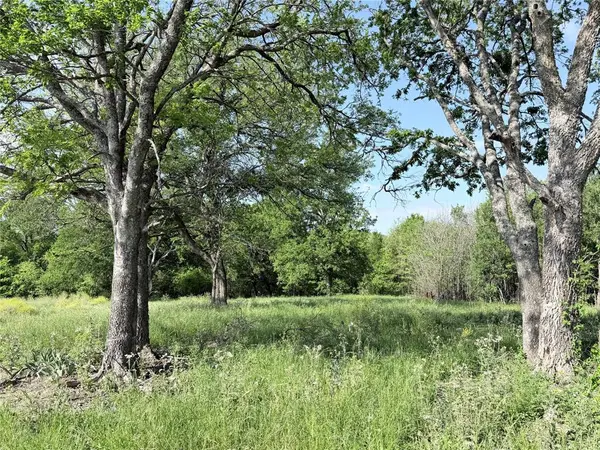 TBD County Road 3204, Abbott, TX 76621