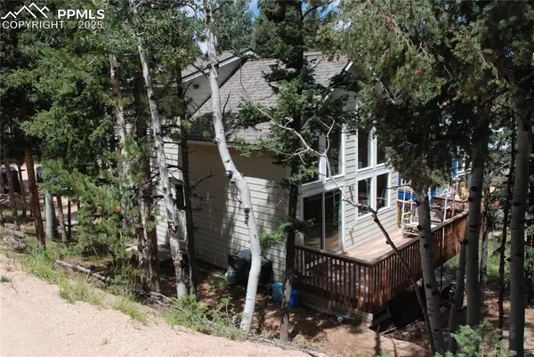 509 Wakanda TRL, Woodland Park, CO 80863