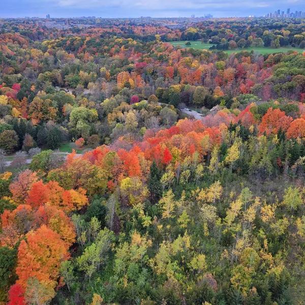 10 Inn On The Park DR #2101, Toronto C13, ON M3C 0P9