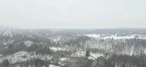 10 Inn On The Park DR #2101, Toronto C13, ON M3C 0P9