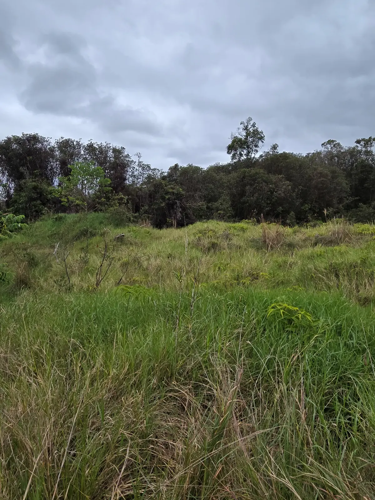 HUINA RD, Mountain View, HI 96771