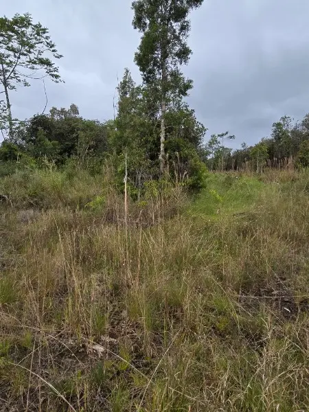 HUINA RD, Mountain View, HI 96771