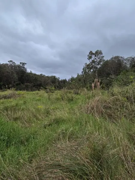 HUINA RD, Mountain View, HI 96771