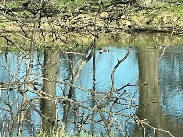 3141 Rogers Road, Jacksboro, TX 76458