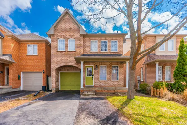 65 Pauline CRES #BSMNT, Brampton, ON L7A 2V5
