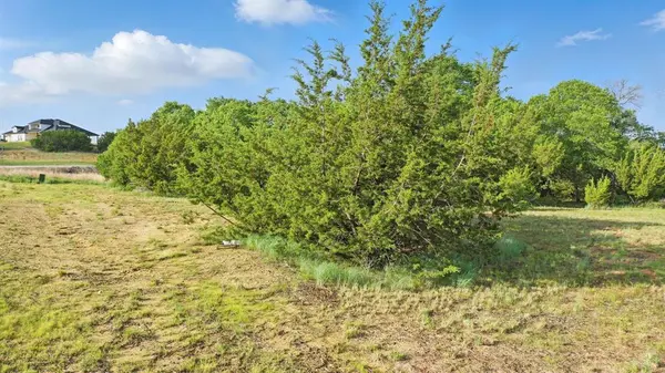 229 Latigo Way, Weatherford, TX 76088