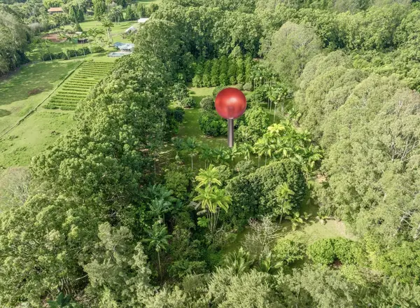 29-509 CHIN CHUCK RD, Hakalau, HI 96710