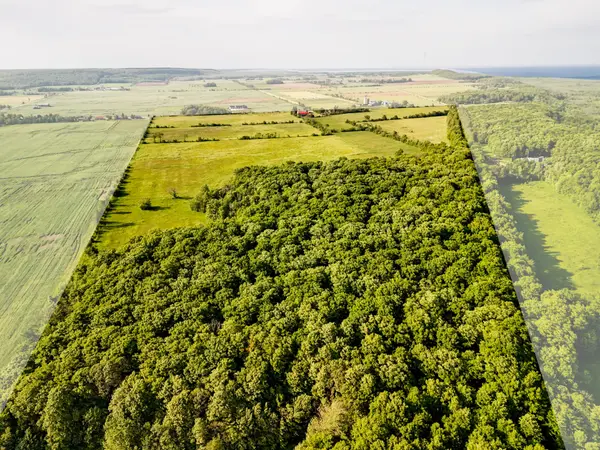 404302 20 Concession, Georgian Bluffs, ON N0H 1S0