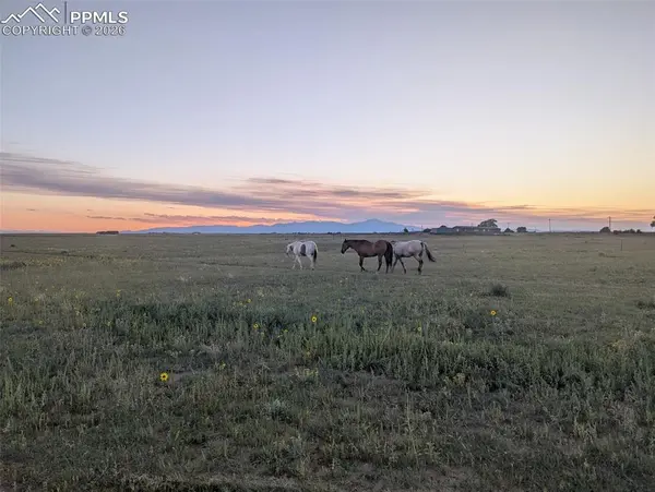 21825 Drennan RD, Colorado Springs, CO 80928