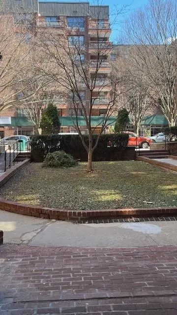 1200 East 53rd ST #2Z, Brooklyn, NY 11234