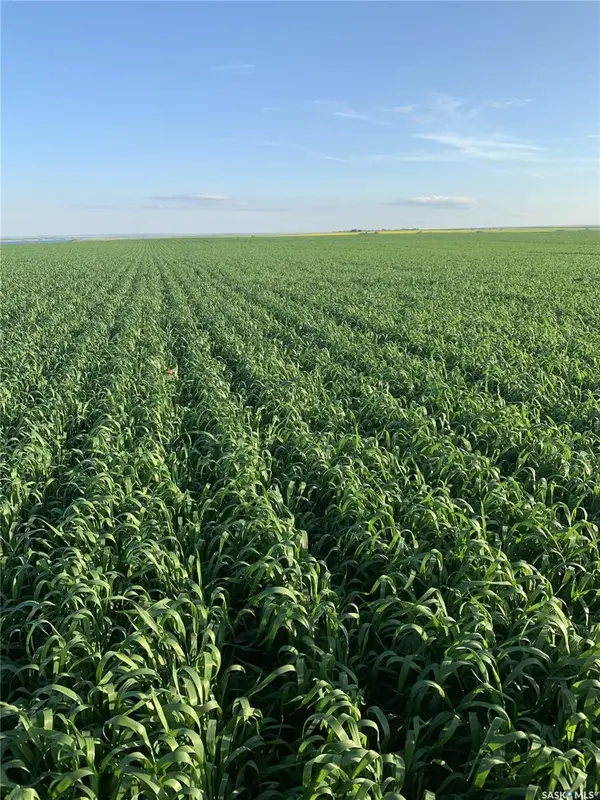 Rural Address, Coteau Rm No. 255, SK S0L 0G0