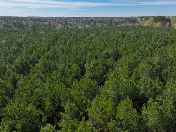 4 LA 168, Rodessa, LA 71069