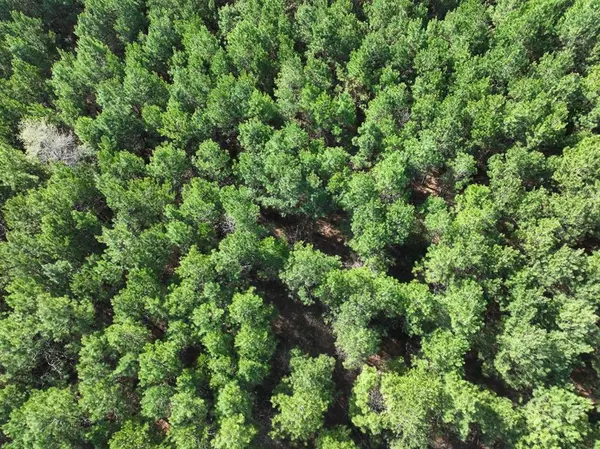 4 LA 168, Rodessa, LA 71069