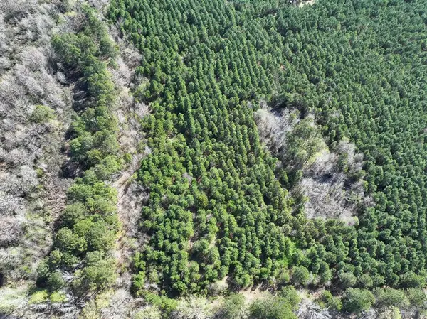 5 United Gas Road 1, Rodessa, LA 71069