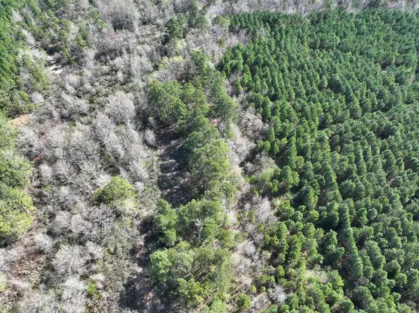 5 United Gas Road 1, Rodessa, LA 71069