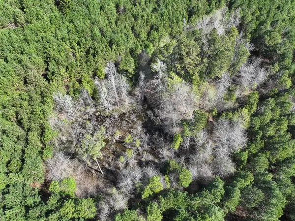 5 United Gas Road 1, Rodessa, LA 71069