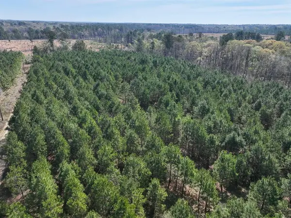 6 United Gas Road 1, Rodessa, LA 71069